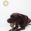 BIMORDISCOS Hueso para perros ETERNAL BONE, , large indicador imagen numero 4